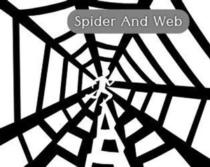 Spider And Web