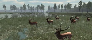 FOREST HUNTING 3D