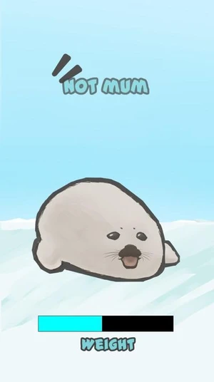 Hungro Seal