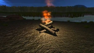 Campfire Simulator
