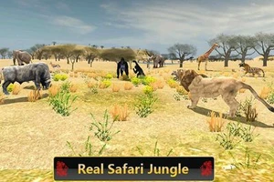 Wild Lion Safari Simulator 3D