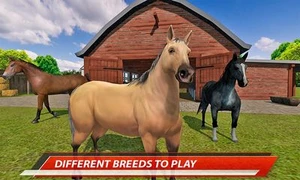 My Horse Show: Race & Jumping Challenge
