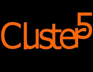 Cluster 5
