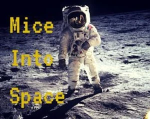 Mice Into Space