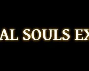 Quintessential Souls Experience
