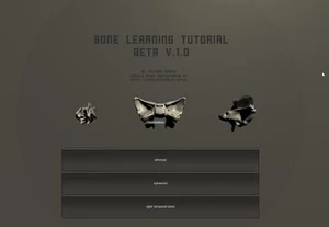 Bone Learning Tutorial