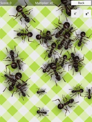 No More Ants - squash them all