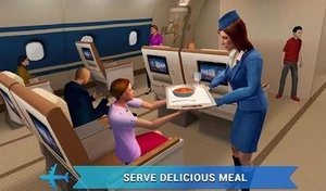 Airplane Flight Attendant -Career Job Sim