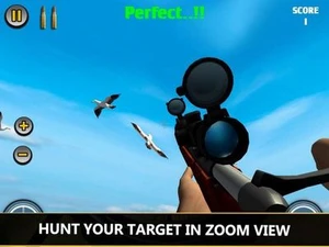 Challenge Sniper - Bird Hunt