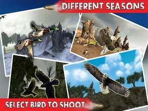 Bird Hunting Season 3D: Real Sniper Shooting 2017