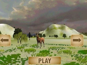 Forest Animal Hunting 3D