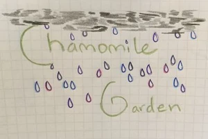 chamomile garden
