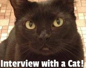 Interview with a Cat!