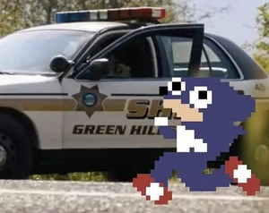 The Hedgehog: The Movie: The Game