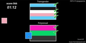 LGBT+ Flags