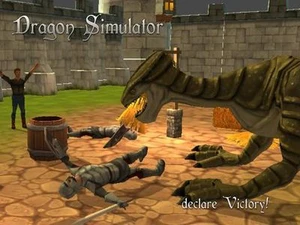 Dragon Simulator