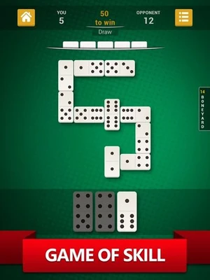 Domino: Classic Board Game