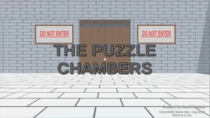 The Puzzle Chambers