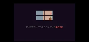 THE WAY TO LOOK THE ROSE