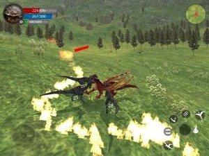 Flying Dragon's Life Simulator