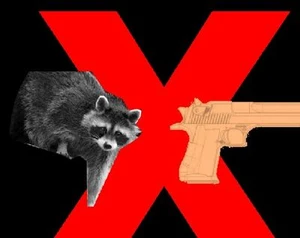 Don't Give the Raccoon The Gun