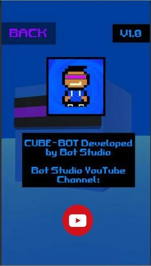 Cube Bot