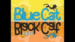 Blue Cat Black Cat: Agility!