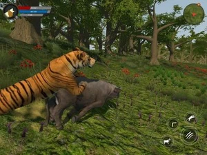 Asian Tiger Survival Simulator