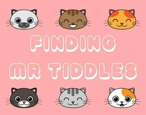 Finding Mr Tiddles