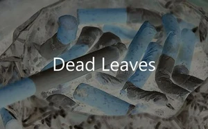 Dead leaves (Saddy4)
