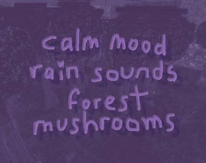 calm mood rain sounds forest mushrooms