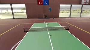 Pro Table Tennis VR