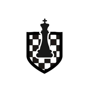 Chess for Dummies (NerdyBoi)