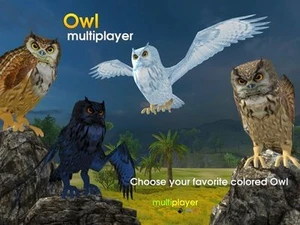 Owl Multiplayer