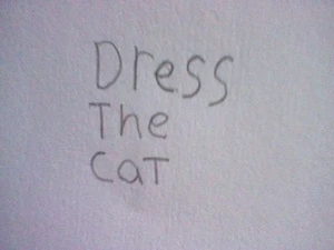 dress the cat