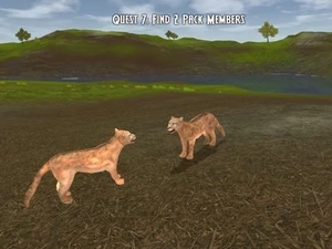 Cougars of the Forest
