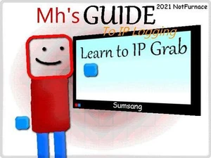 Mh's Guide To IP Logging