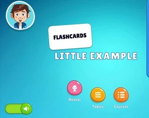 LittleFlashcardProject