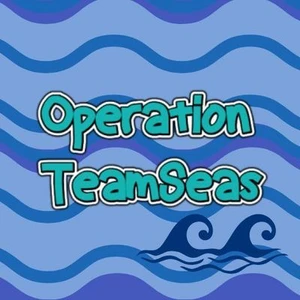 Operation TeamSeas