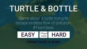 Turtle & bottle