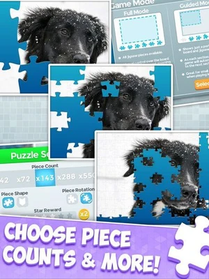 Jigsaw Puzzles Snap!