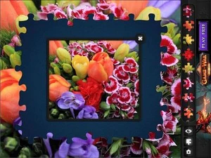 Jigsaw Puzzles: Flowers