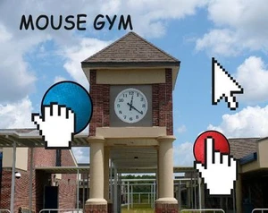 Mouse Gym