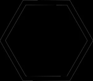 Hexagon Spin