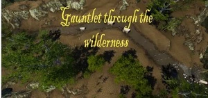Gauntlet through the wilderness