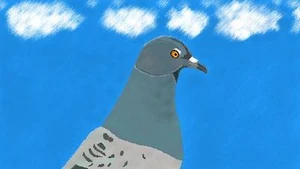 Pigeon Simulator (itch)
