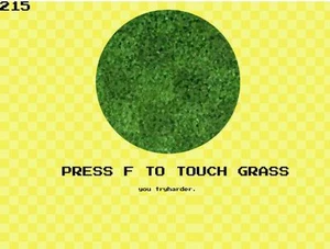 Touch Grass Simulator (Really bad)