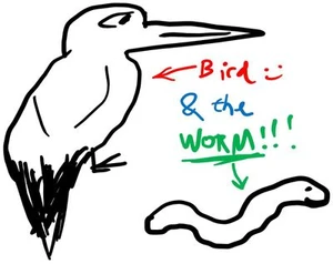 Bird and the Worm