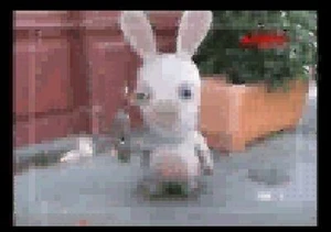 Gameboy Advance Video Rayman and Rabbids Commercial Compilations