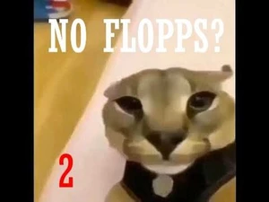 NO FLOPPS? 2